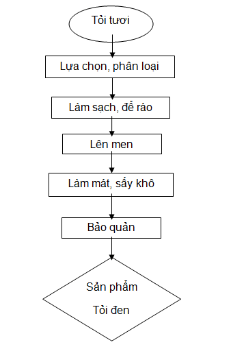 Quy Trình Sản Xuất tỏi đen