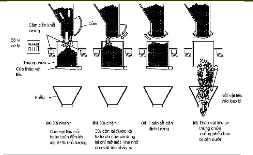 Định Lượng Từng Phần