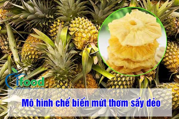 Mô hình chế biến mứt thơm sấy dẻo