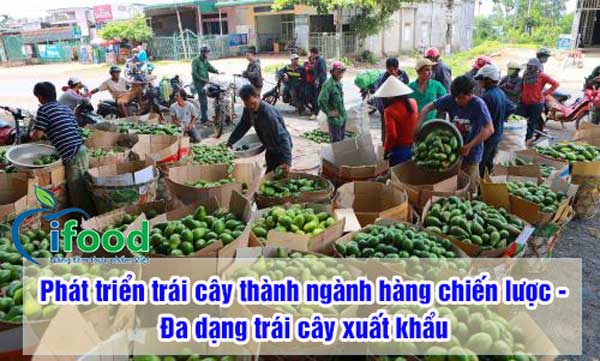 trái cây xuất khẩu