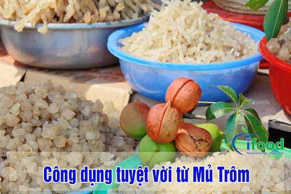 công dụng của mủ trôm