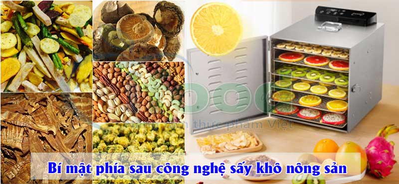 Công nghệ sấy khô nông sản và những bí mật phía sau