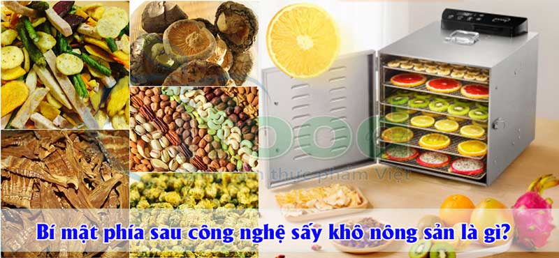 Công nghệ sấy khô nông sản