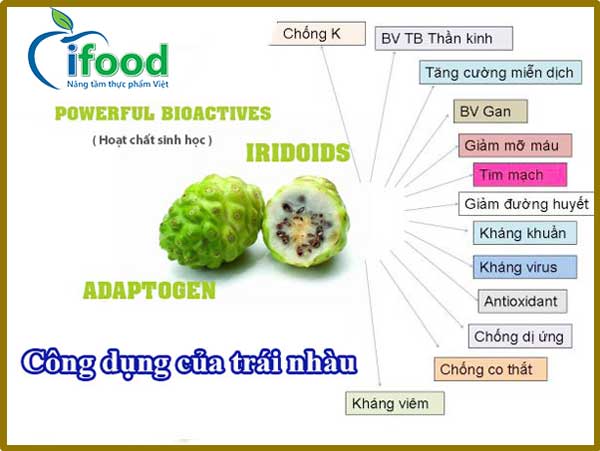 Trái nhàu có tác dụng gì