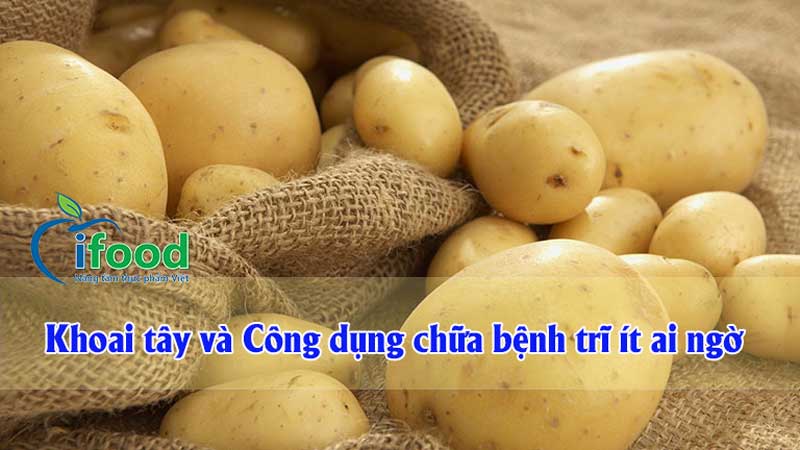 Công dụng chữa bệnh trĩ của khoai tây ít ai ngờ