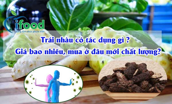 Trái nhàu có tác dụng gì, giá bao nhiêu, mua ở đâu mới chất lượng?